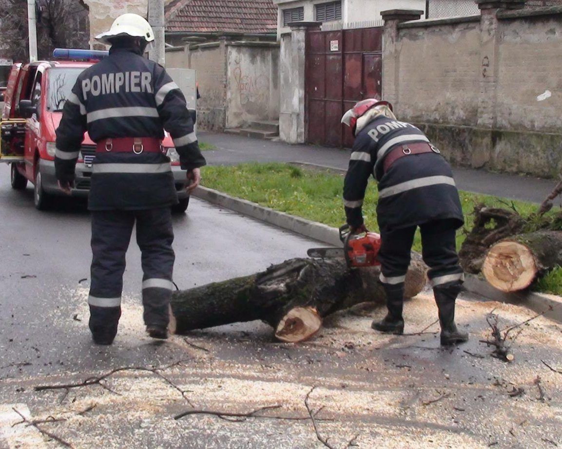 030419_1404_Recomandril1-1153x922