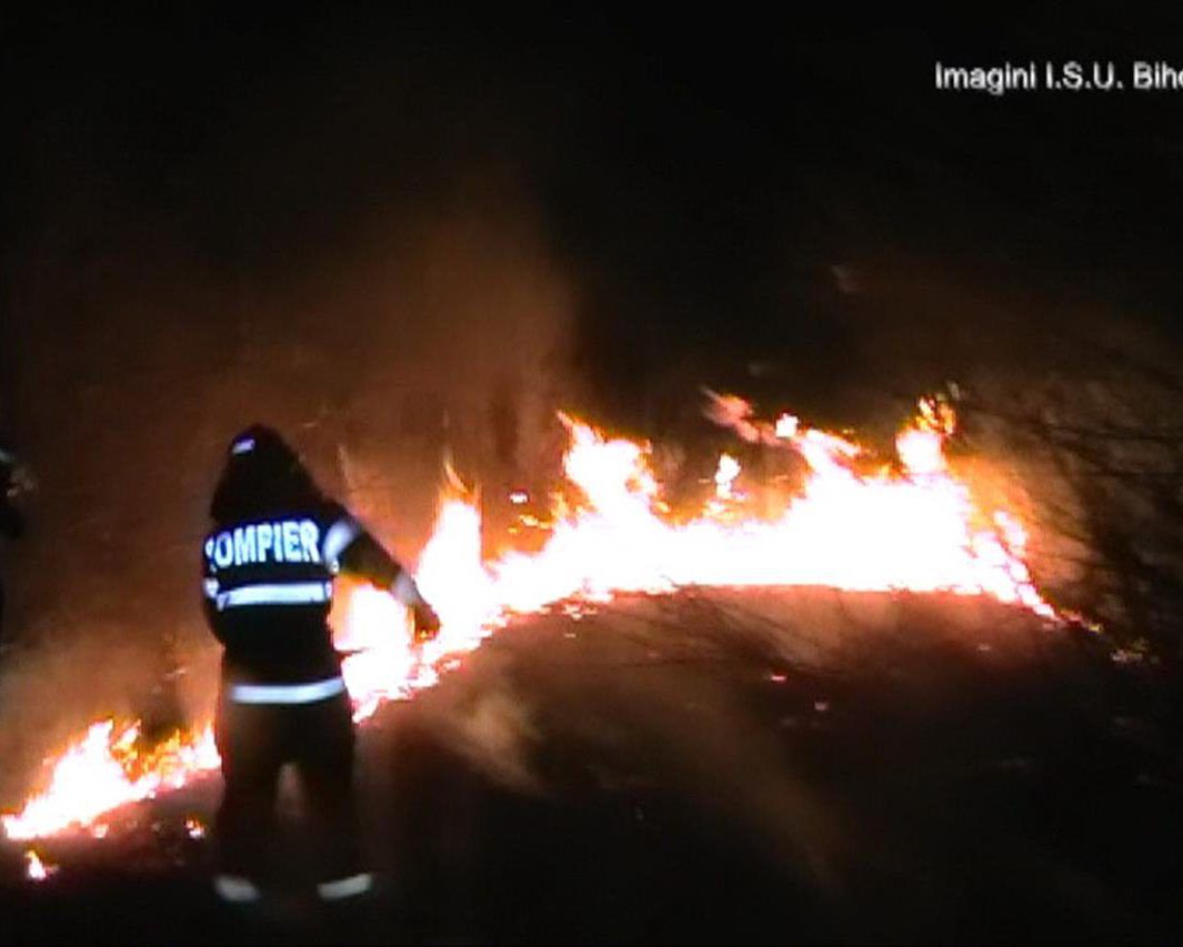 032519_0901_13incendiid1-1065x853