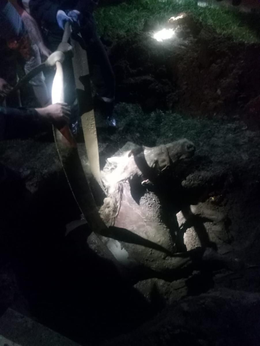 060319_0903_Calsalvatnl2