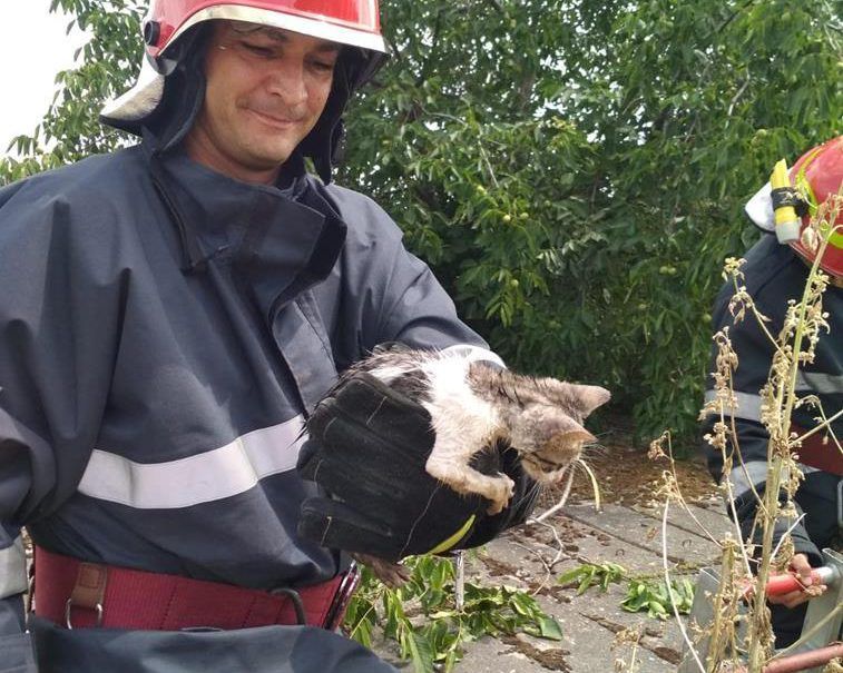 062519_0711_Misiunidesa1-757x605