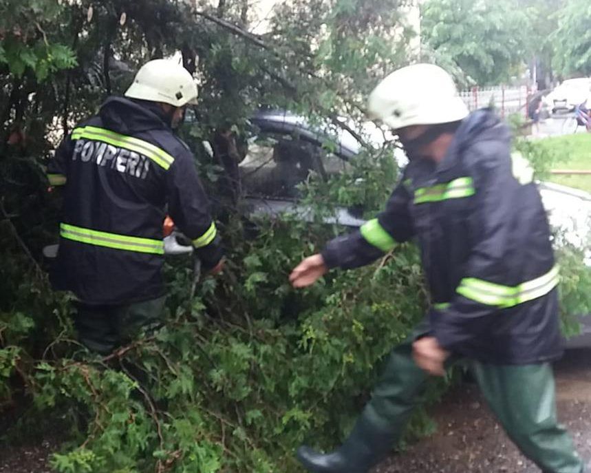 073119_1233_Msurideprev1-859x687