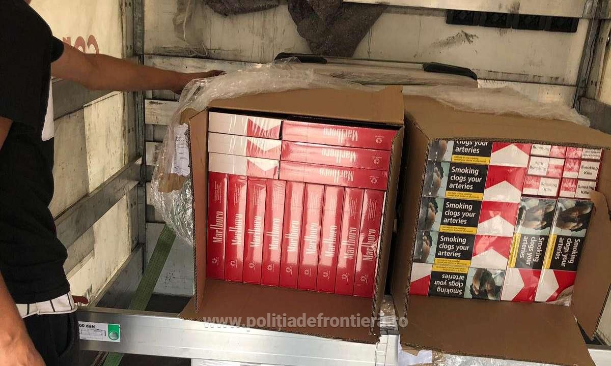 156534166380-6130-S4