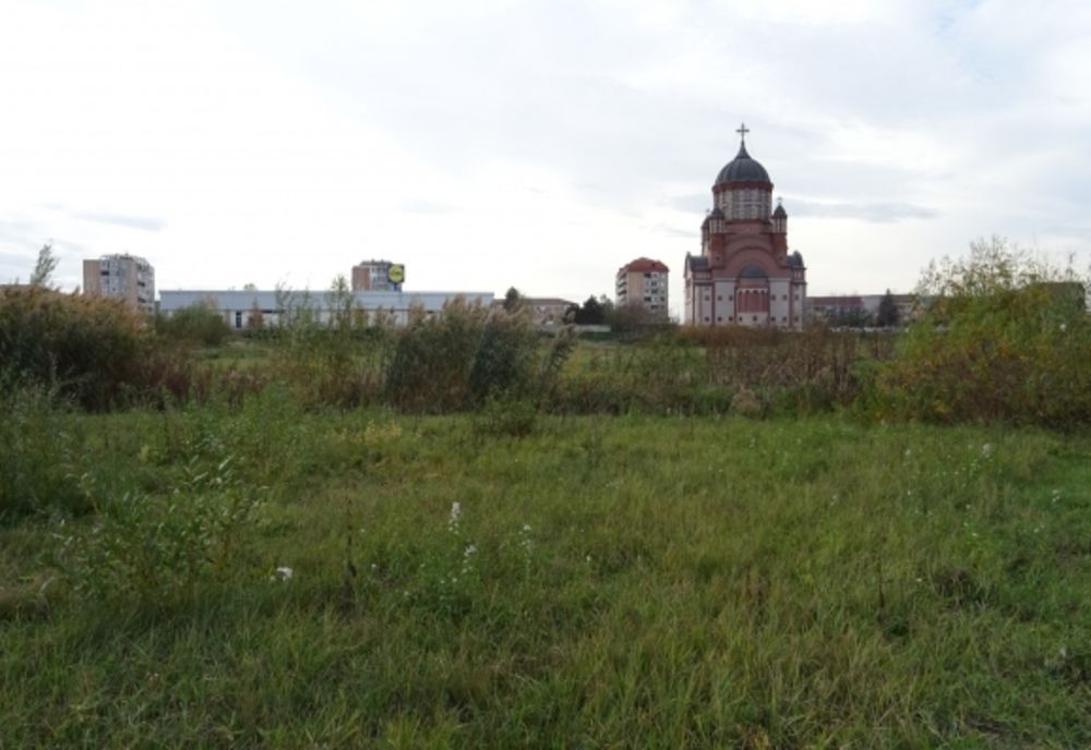 Grădină botanică în locul terenului viran de lângă Parcul Salca