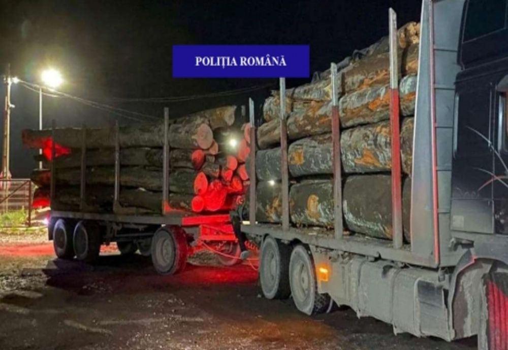 Peste 35 de metri cubi de bușteni, transportați fără documente legale, confiscați de polițiștii din Borod, de la un bihorean.