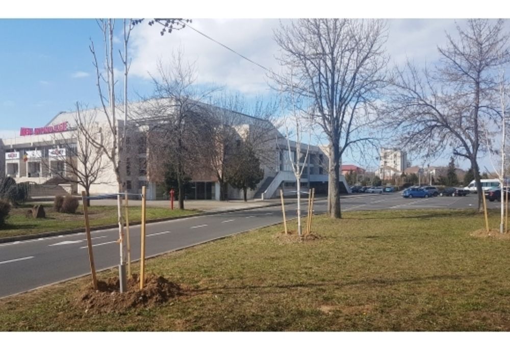 Primăria Oradea a început campania de plantări de toamnă