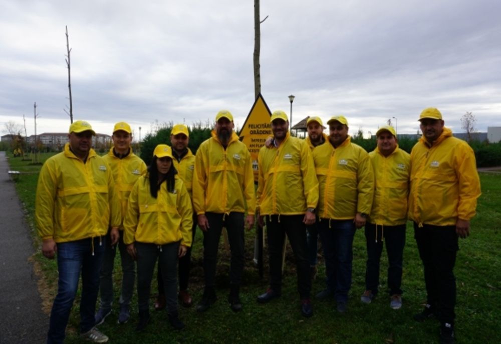 Copaci plantațI în Parcul Salca, în cadrul unei acțiuni de voluntariat