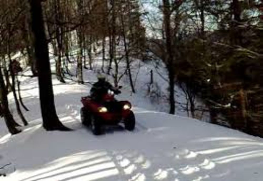 Doi tineri au aterizat cu ATV-ul în copac