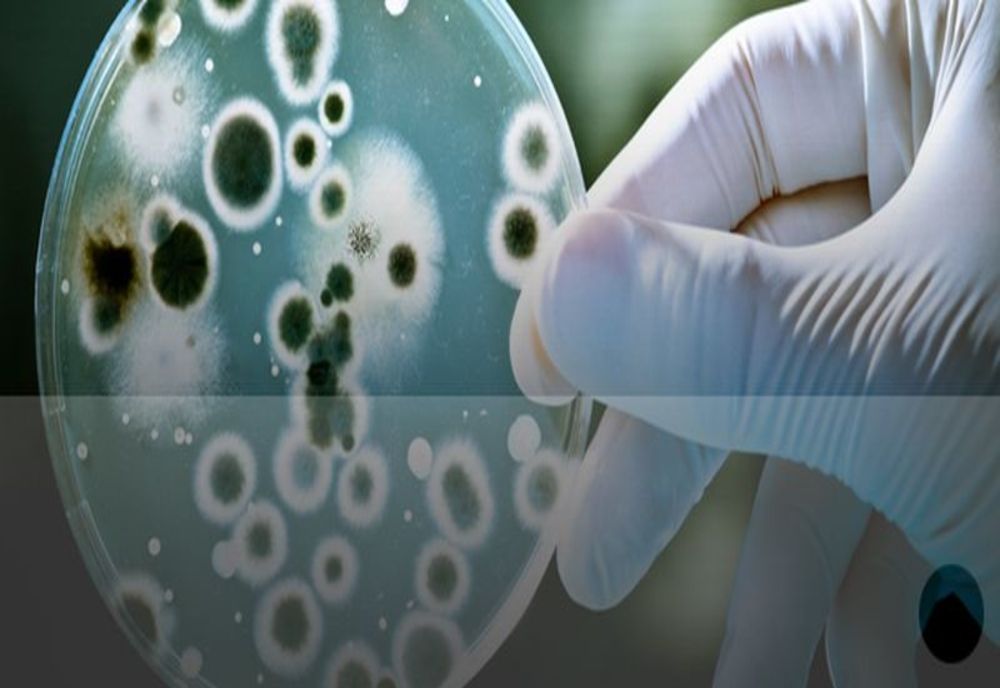 Secţia de pneumologie a Spitalului Orăşenesc Aleşd este închisă timp de două săptămâni