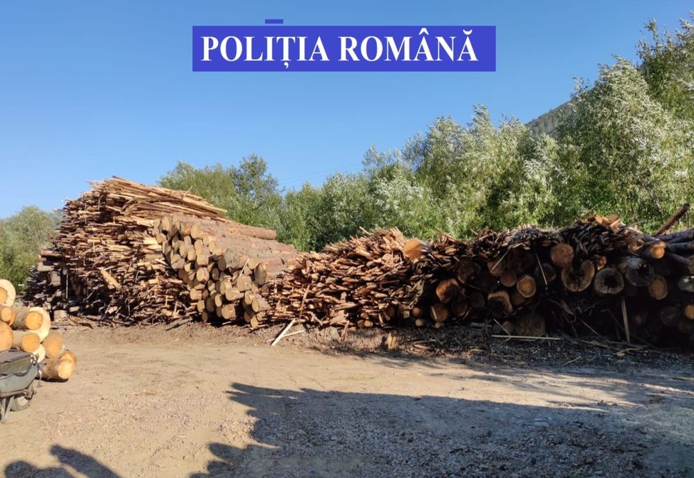 Aproape 350 de metri cubi de lemne de foc și cherestea de rășinoase, în valoare de 140.000 de lei, confiscați valoric de polițiștii bihoreni