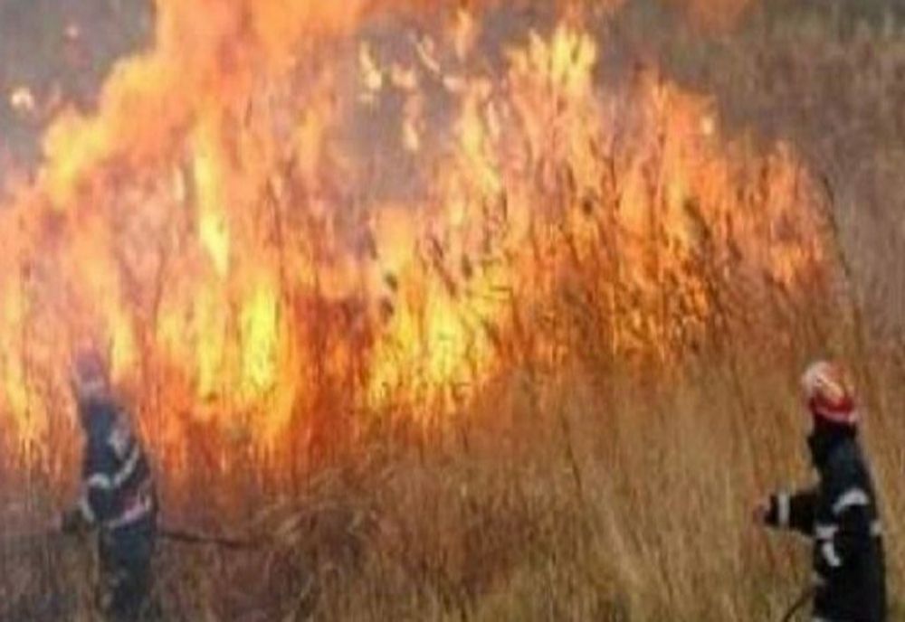 Oradea: Zeci de pompieri se luptă cu un incendiu de vegetaţie care se întinde pe o suprafaţă de 15 hectare