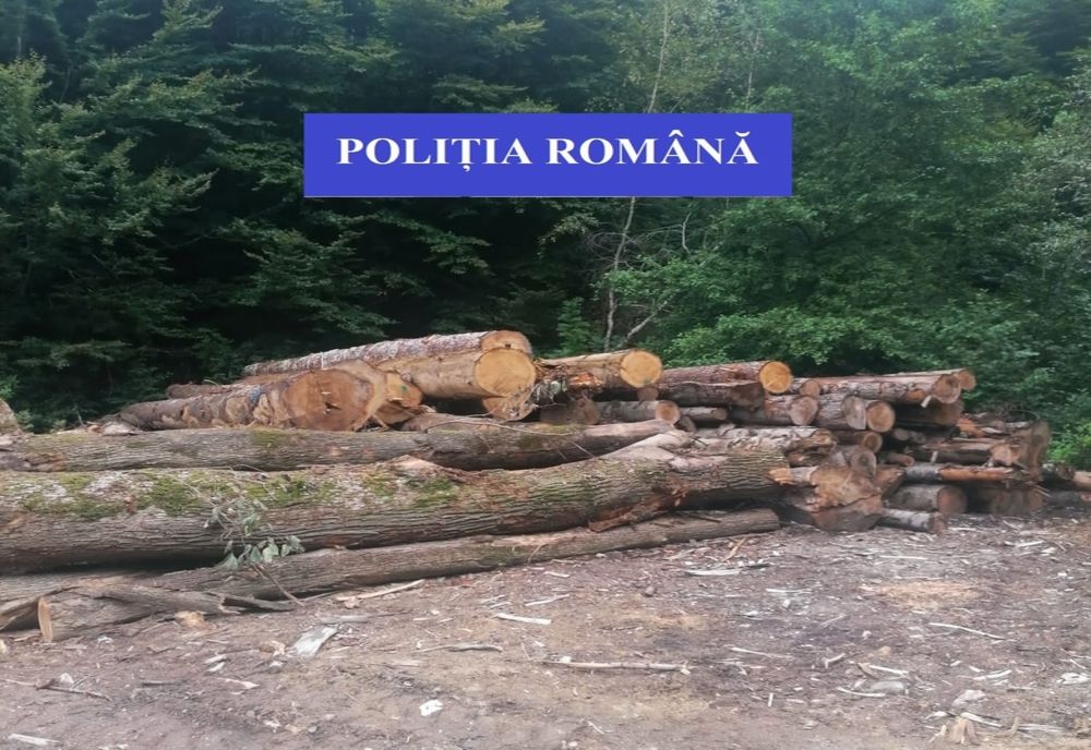 Peste 70 de amenzi aplicate de poliţiştii bihoreni pentru delicte silvice