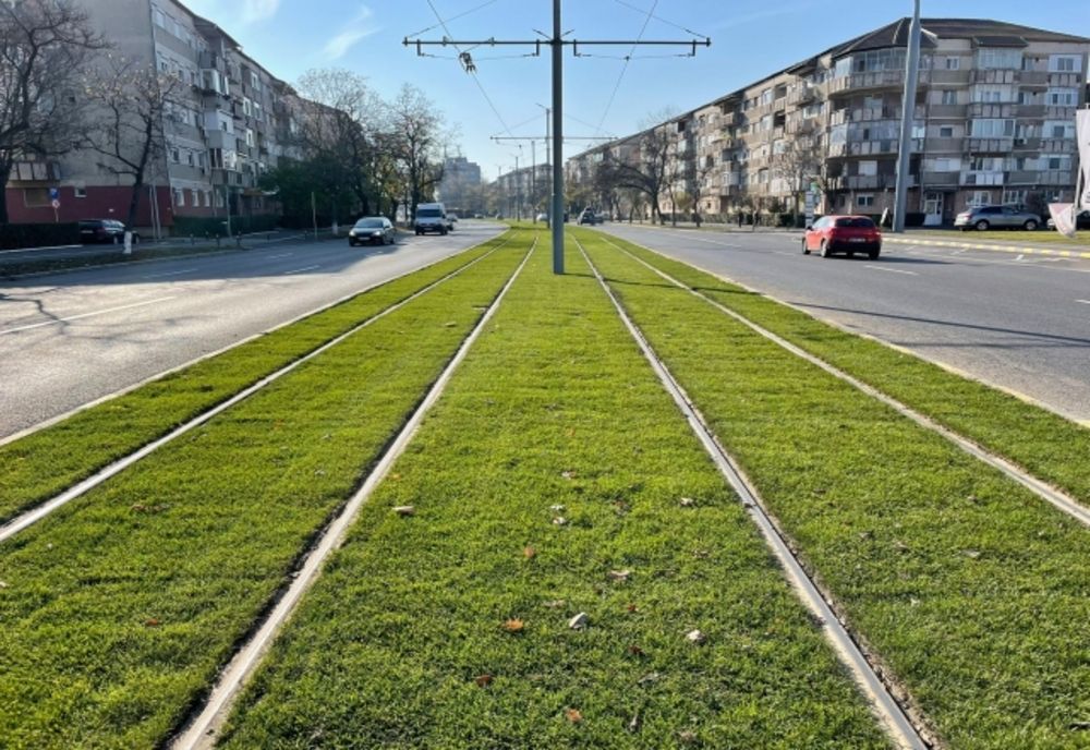 Se montează gazon pe noua linie de tramvai din Oradea (FOTO)