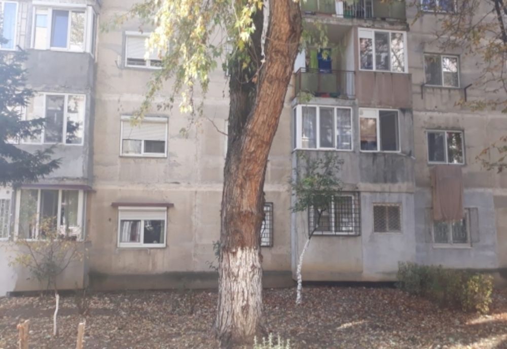 Caz neobişnuit în Oradea: Bărbat amendat de către polițiștii locali pentru vătămarea unui arbore