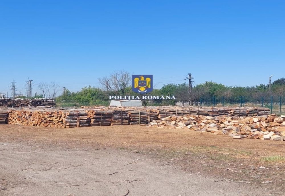 Peste 381 mc de material lemnos fără documente legale, confiscați de polițiști