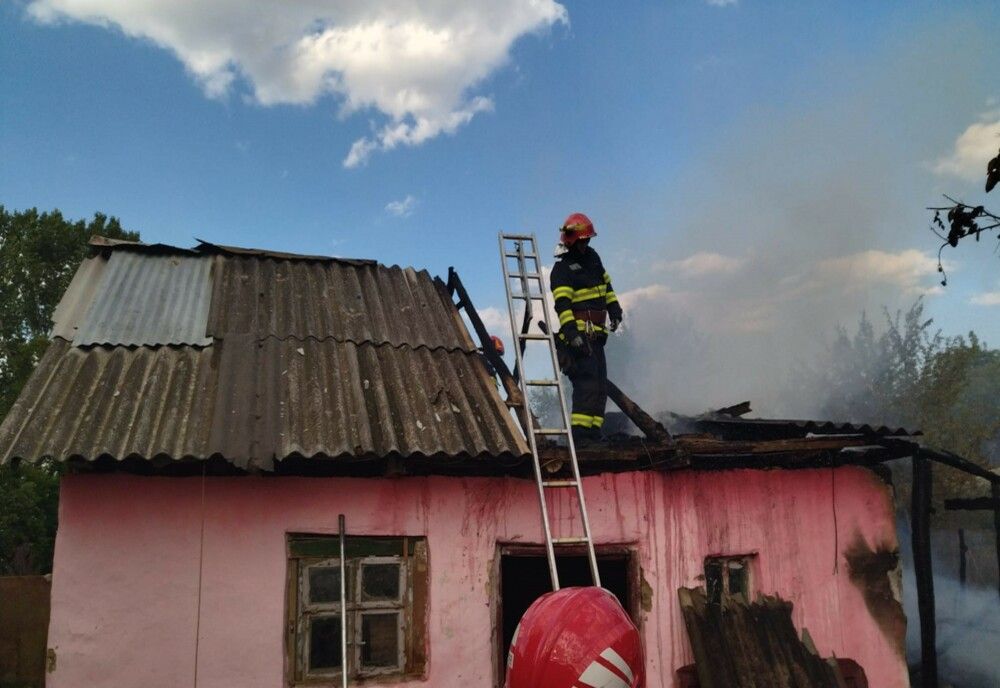 Incendiu la un adăpost de animale din Chiraleu (FOTO)