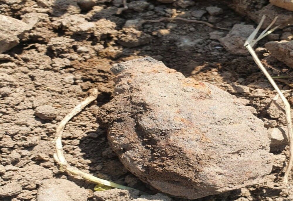 Un bărbat din Roșia a găsit o grenadă în curtea casei 