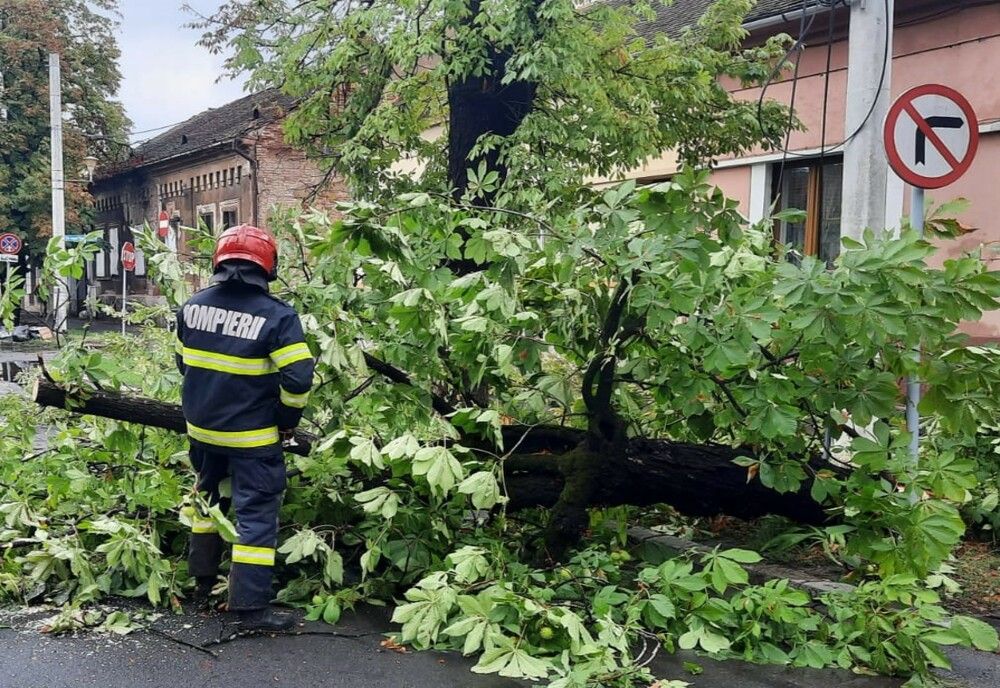 Furtuna a făcut prăpăd în Bihor: copaci doborâţi, maşini avariate şi incendiu provocat de trăsnet
