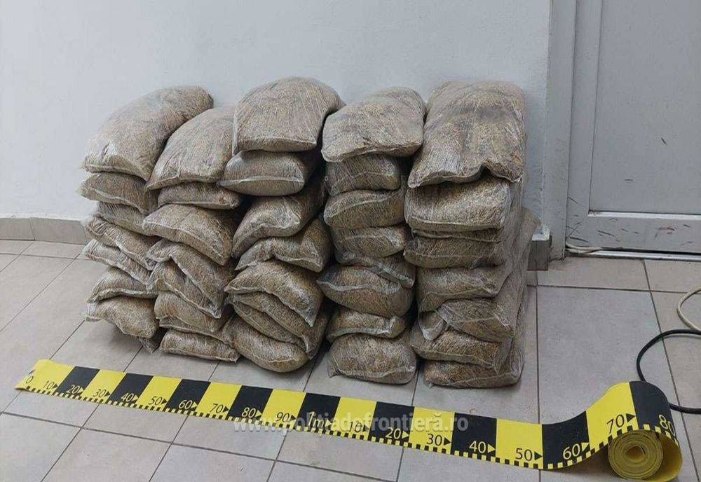 Zeci de pungi cu tutun, descoperite de polițiștii de frontieră sătmăreni în mașina unui bihorean
