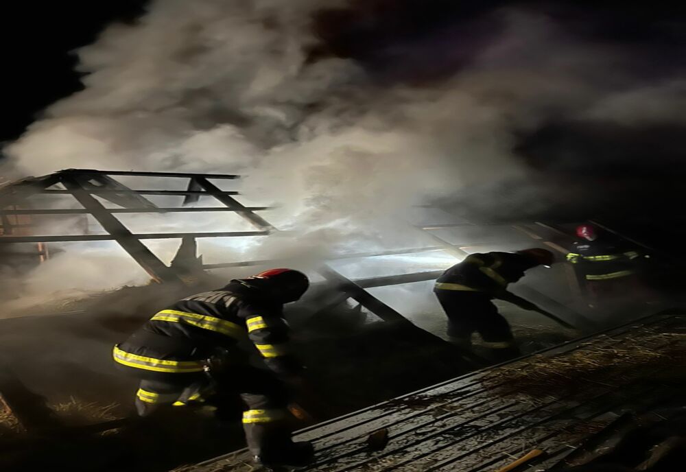Animale și construcții salvate dintr-un incendiu în Câmpani