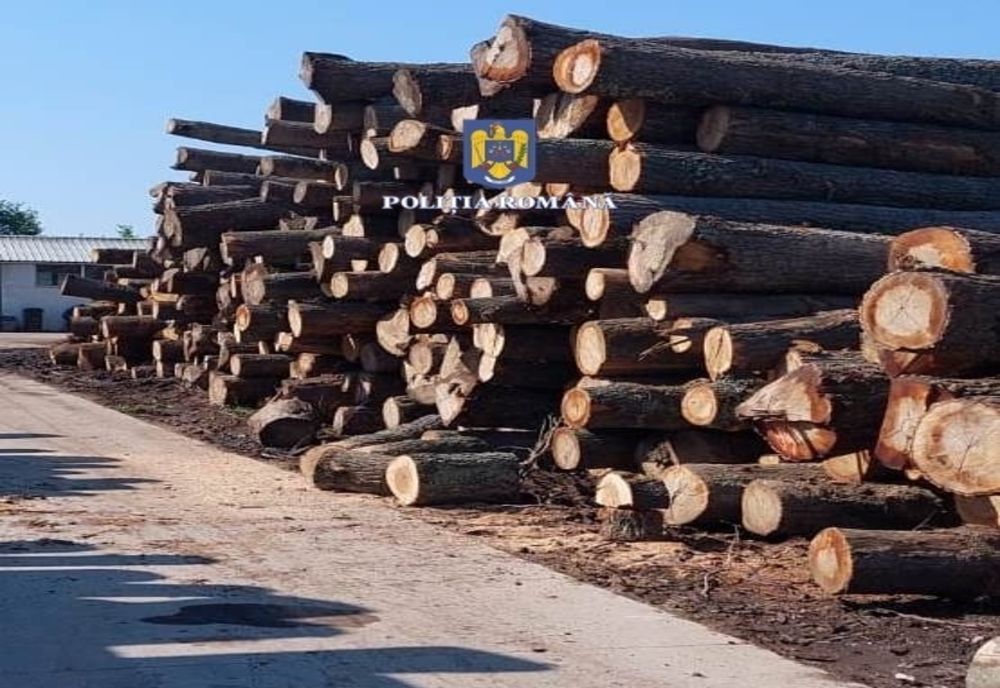 Peste 33 mc de lemn, confiscați de la o firmă de profil din Lunca! SRL-ul a primit și o amendă piperată