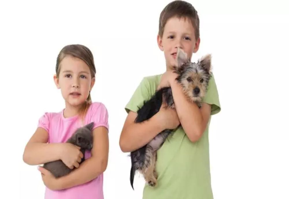 STUDIU. Oamenii care au acest animal de companie trăiesc mai mult