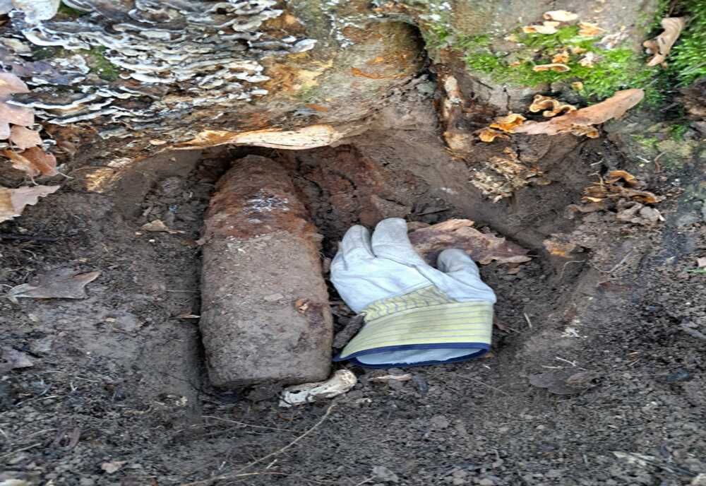 Muniție descoperită în pădurea din Cihei 