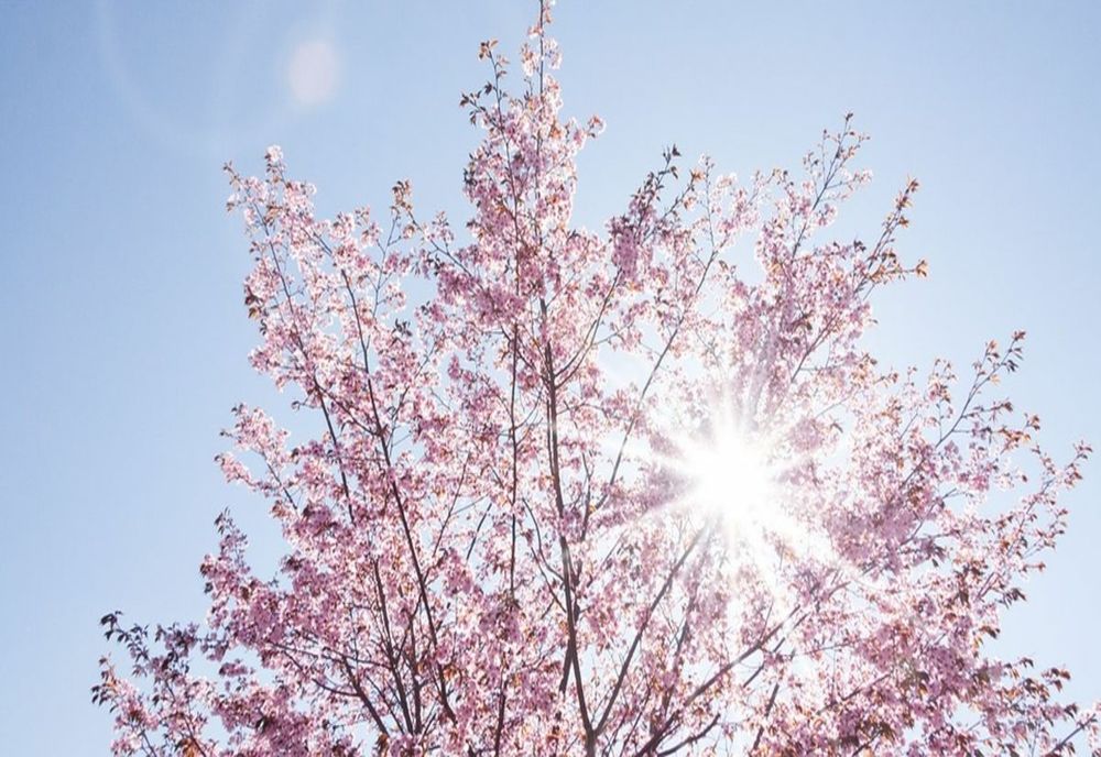 Vreme deosebit de caldă în aproape toată țara