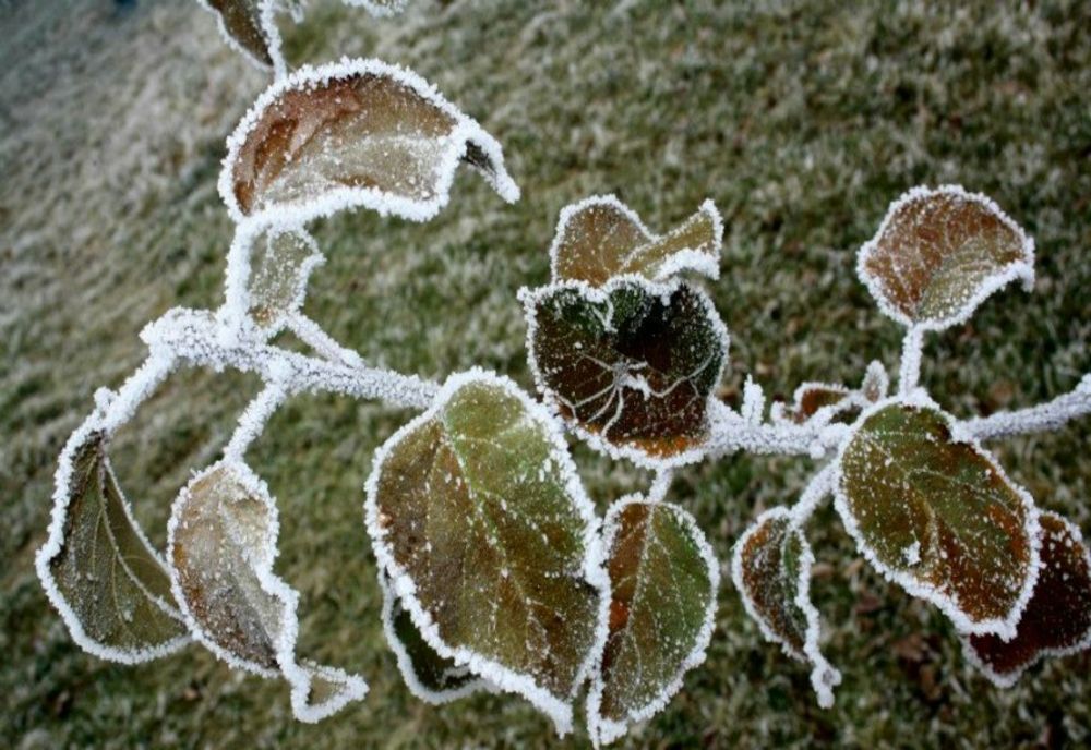 Prognoza meteo 28 aprilie. Alertă de vreme rece, vânt și brumă