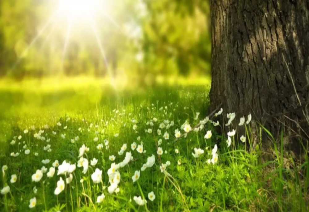 VREMEA 3 AUGUST. TEMPERATURI RIDICATE ÎN TOATĂ ȚARA