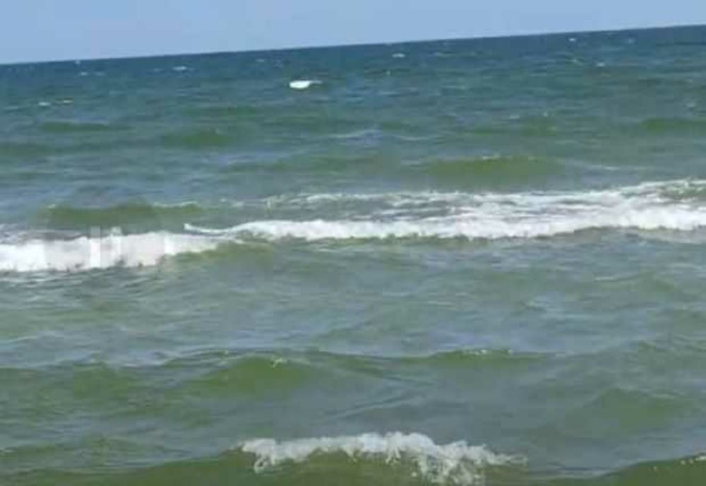 MAREA ROŞIE ESTE AMENINȚATĂ DE UN DEZASTRU ECOLOGIC