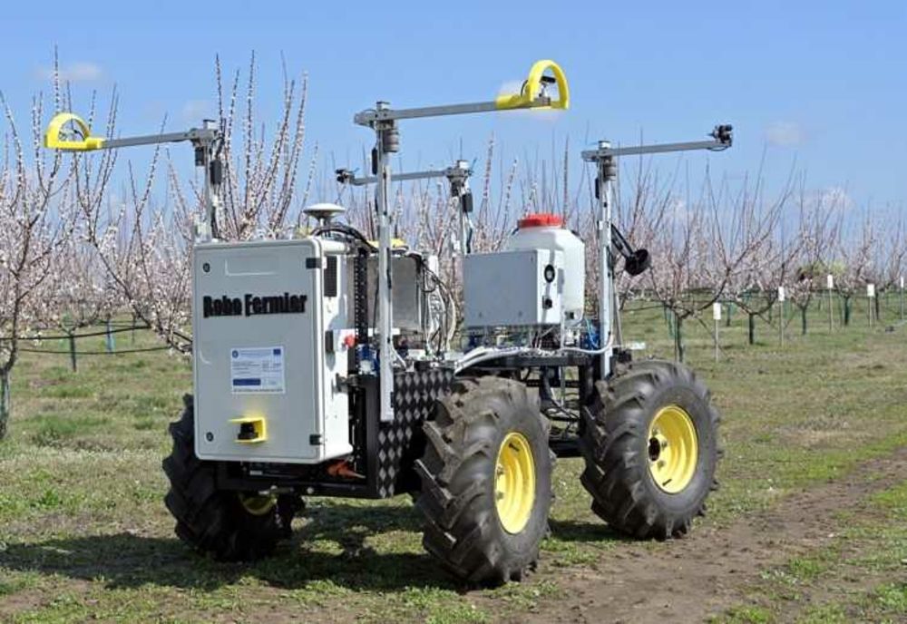 PROIECT DE ORDONANȚĂ: CREDITELE FERMIERILOR AR PUTEA FI GARANTATE DE STAT ÎN PROPORȚIE DE 100%