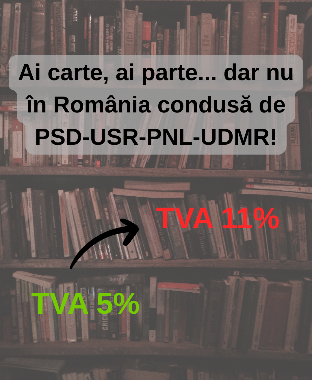 CULTURA NU E UN MOFT. E OXIGENUL UNEI SOCIETĂȚI CARE VREA SĂ RESPIRE PROFUND, NU DOAR SĂ SUPRAVIEȚUIASCĂ