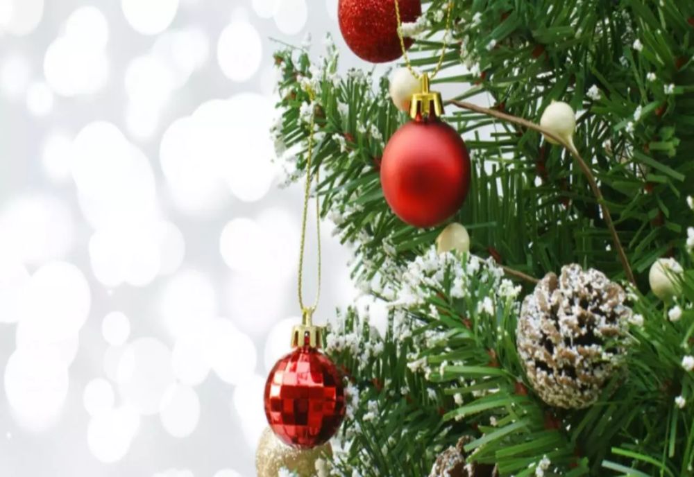 De unde a apărut originea bradului de Crăciun