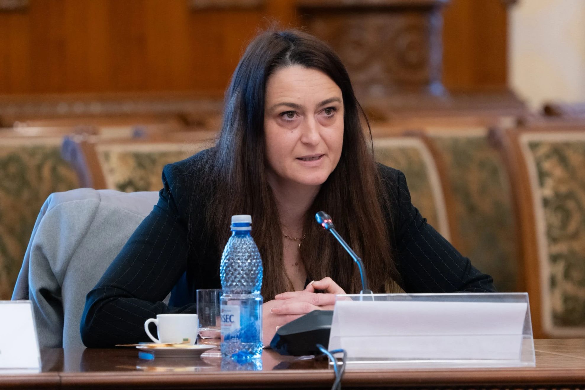 Cristina Butură (deputat AUR)
