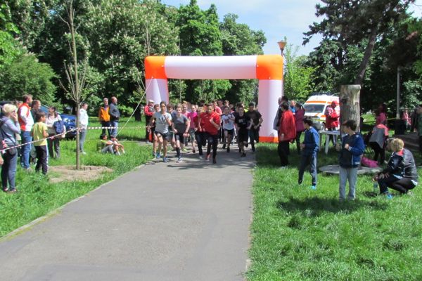Bihorul în mişcare la fotbal, handbal şi cros