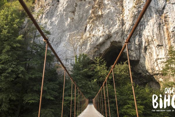 AMD Bihor vă invită să descoperiți Pădurea Craiului