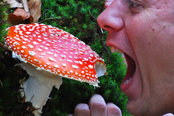 Apel urgent pentru donatori! Este nevoie de sânge B3pozitiv pentru o fată de 18 ani, după o intoxicație cu ciuperci