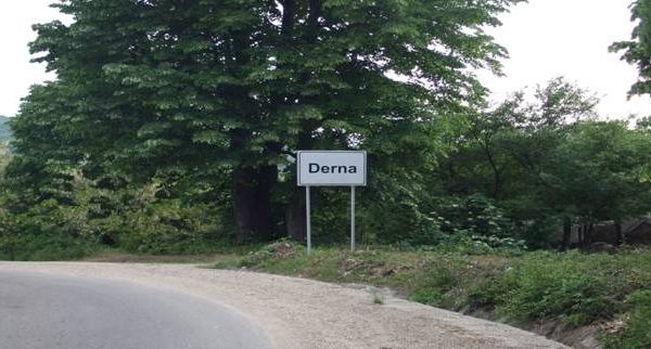 Florica Cherecheș continuă presiunile legate de situația gravă din comuna Derna