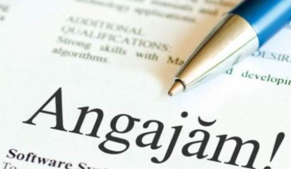 Locuri de muncă în județul Bihor