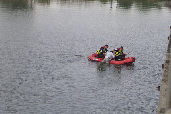 Bărbat salvat de la înec de către pompierii bihoreni