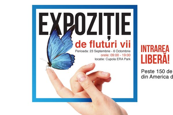 Expoziție de fluturi vii la Era Park