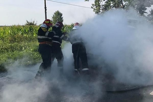 Șase operațiuni de stingere a incendiilor izbucnite pe raza a cinci localități și o misiune de salvare a unui animal