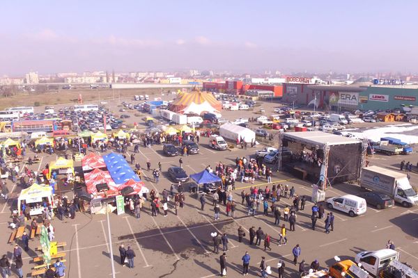 Festivalul Concurs D'ale Porcului - Ediţia 5 va avea loc în weekend