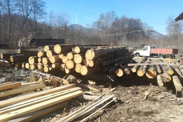 Spectacol de teatru pentru copiii proveniţi din familii defavorizate