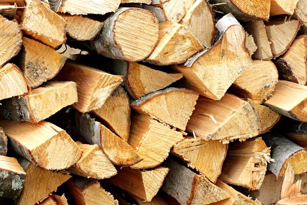 Lemne de foc fără documente legale, confiscate de polițiștii bihoreni