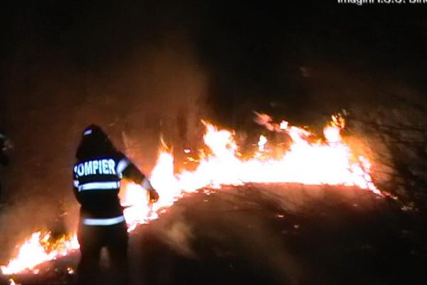 3 incendii de vegetație uscată produse în interval de 10 ore.