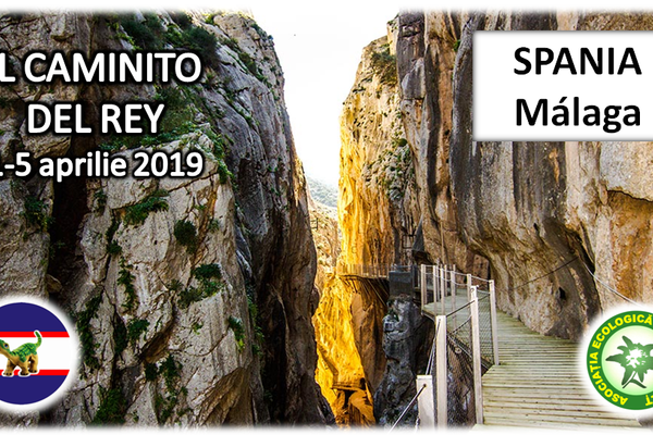 Primăria Oradea găzduiește marți, 26 martie, conferința privind mobilitatea pietonală din cadrul proiectului Citywalk