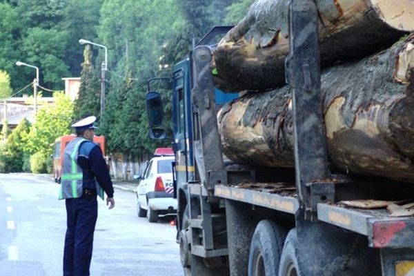 Material lemnos fără documente legale, confiscat de polițiștii bihoreni