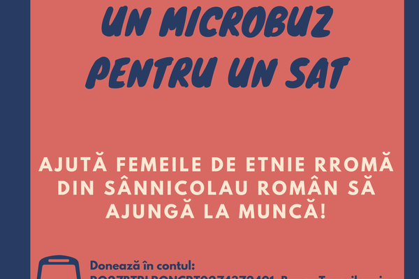 Un microbuz pentru un sat