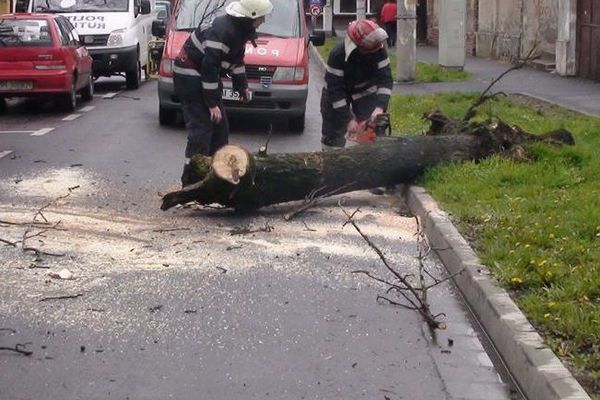 Recomandările pompierilor militari pentru evitarea situațiilor de urgență generate de vântul puternic!